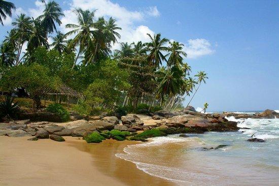 Ishitha Homestay Tangalle Eksteriør bilde