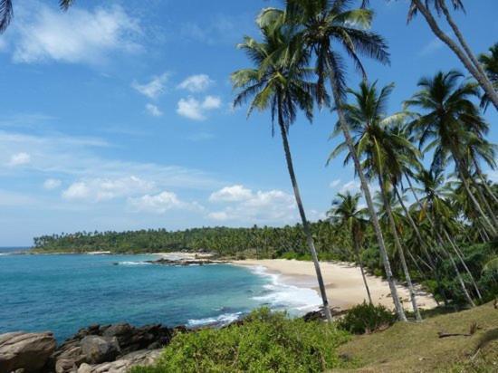 Ishitha Homestay Tangalle Eksteriør bilde