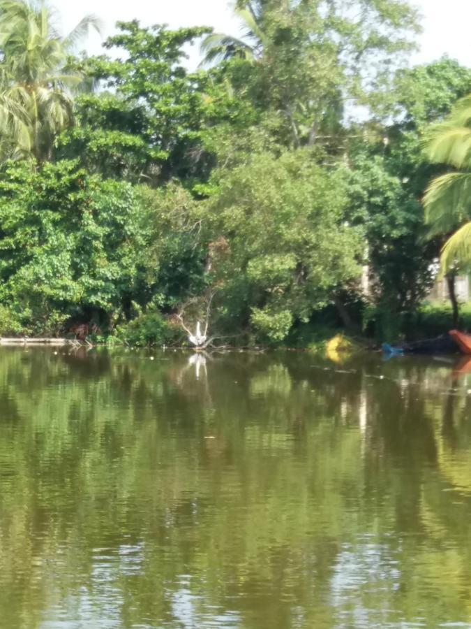 Ishitha Homestay Tangalle Eksteriør bilde
